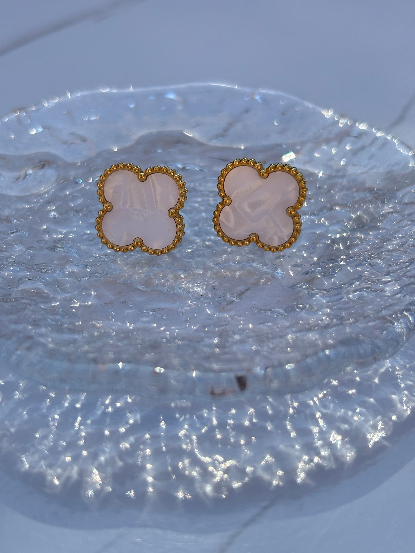 Clove studs