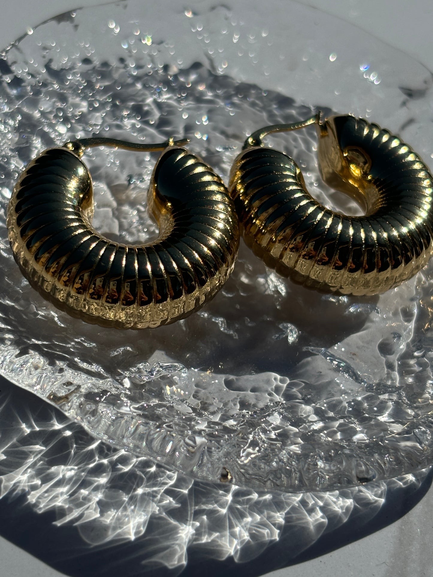 Fossil earrings