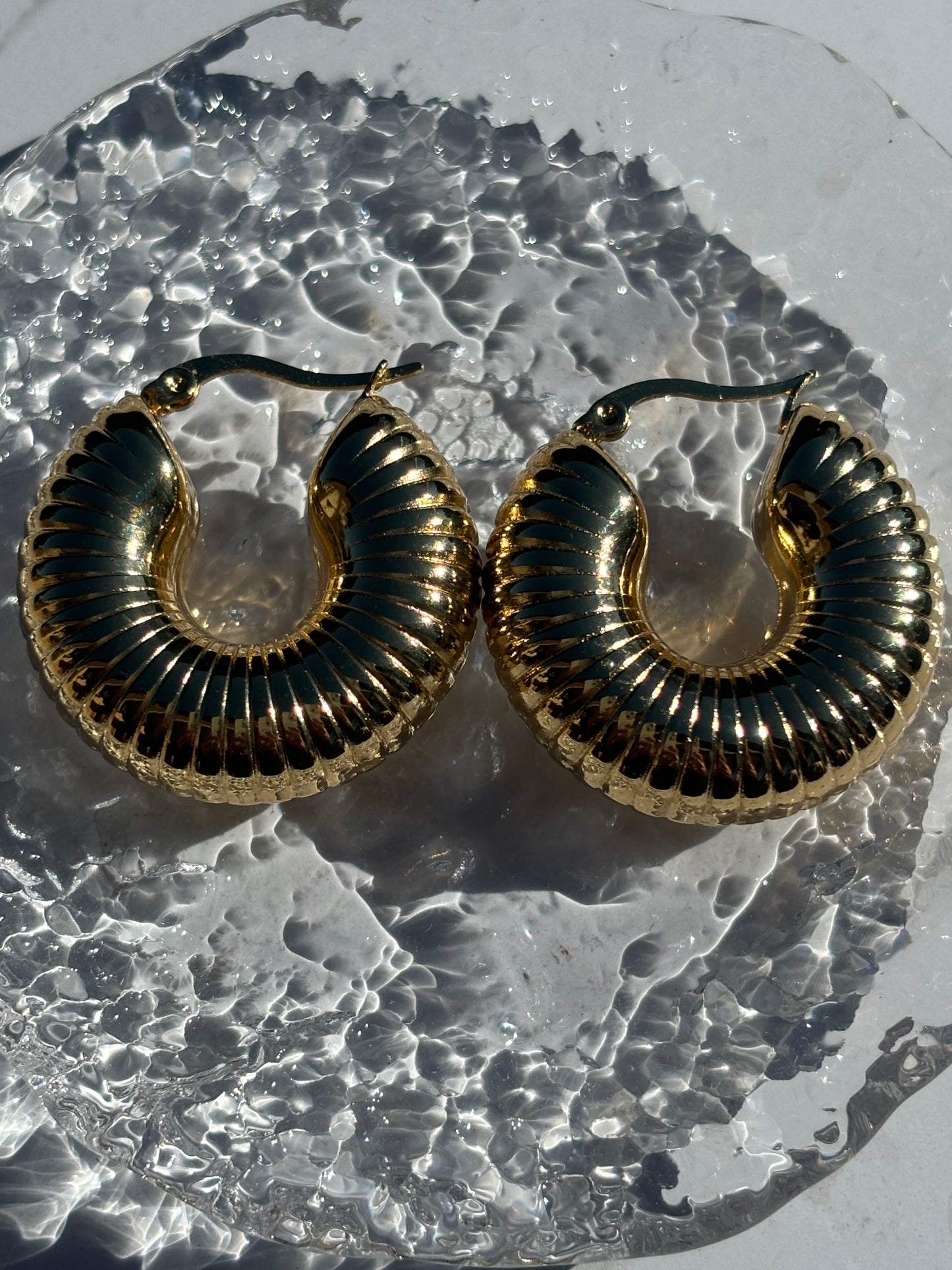 Fossil earrings