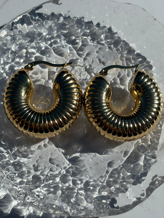 Fossil earrings